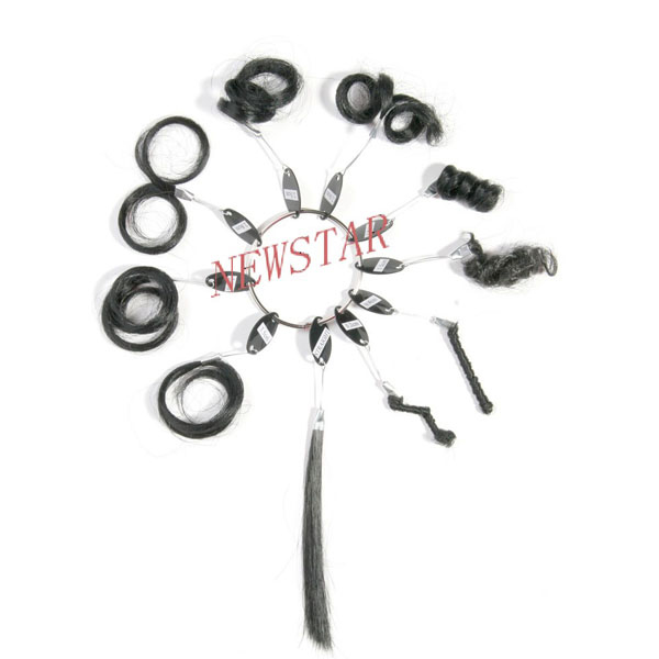 Curl Chart 拷贝.jpg